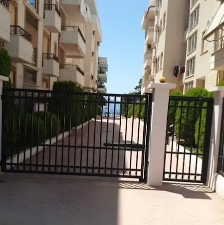 Ami * Vlorë